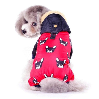 Šiltas šuns megztinis-striukė-Prego.LT